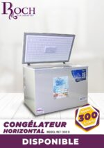 Congélateur Roch Horizontal 300 Litres Gris RCF300I - immagine 3