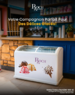Congélateur Roch Horizontal 500 Litres Vitrine Blanc RIS500D - immagine 2