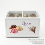 Congélateur Roch Horizontal 500 Litres Vitrine Blanc RIS500D - immagine 3