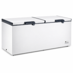 Congélateur Finix Horizontal 2 Portes 850 Litres Blanc BDW850 - immagine 2