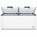 Congélateur Finix Horizontal 2 Portes 850 Litres Blanc BDW850 - immagine 4