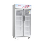 Réfrigérateur Astech Vitrine 2 Portes 740 Litres FV740DDGR