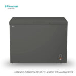 Congélateur Hisense Horizontal Inverter Gris FC410DD