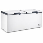 Congélateur Finix Horizontal 2 Portes 850 Litres Blanc BDW850